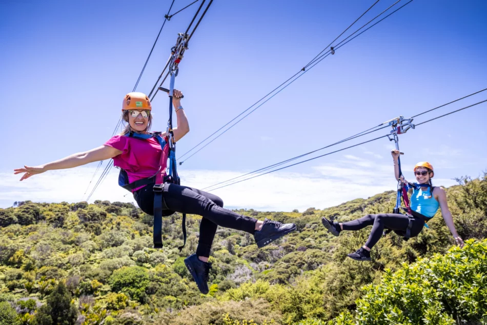 EcoZip Adventures – Soar Over Vineyards & Native Forest on Waiheke Island