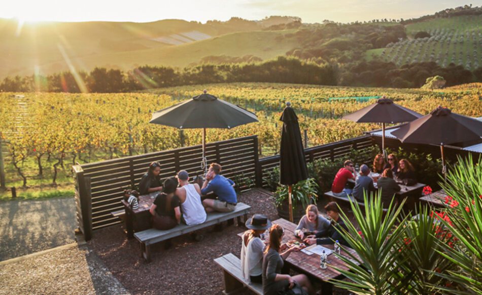 Te Motu Vineyard
