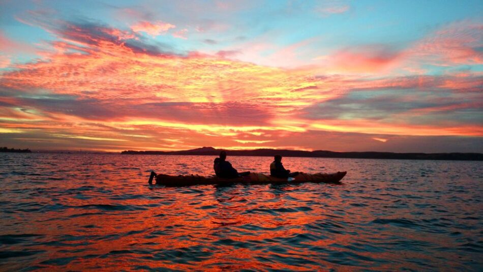 Kayak Waiheke